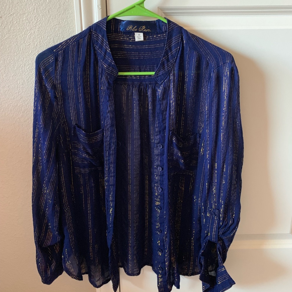 NWOT Francesca’s Sheer Blue Button Down